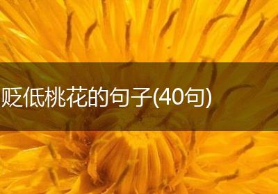贬低桃花的句子(40句)