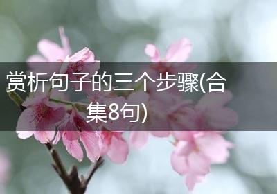 赏析句子的三个步骤(合集8句)