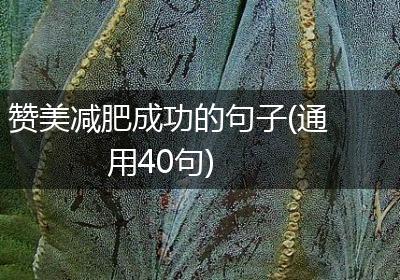 赞美减肥成功的句子(通用40句)