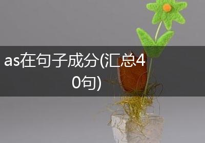 as在句子成分(汇总40句)