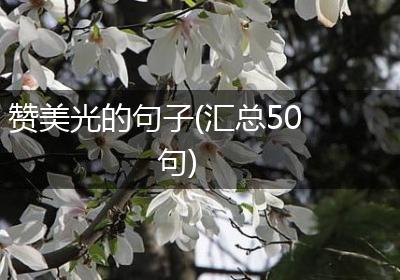 赞美光的句子(汇总50句)