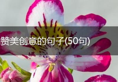 赞美创意的句子(50句)