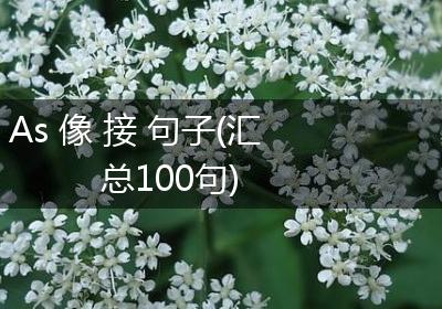 As 像 接 句子(汇总100句)