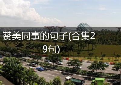 赞美同事的句子(合集29句)