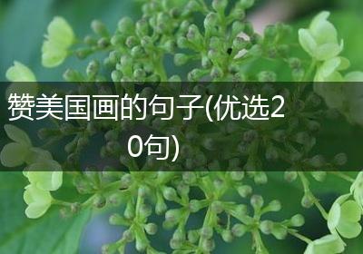赞美国画的句子(优选20句)