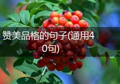 赞美品格的句子(通用40句)