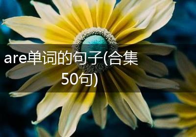 are单词的句子(合集50句)