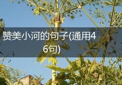 赞美小河的句子(通用46句)