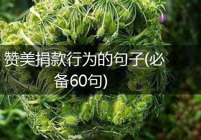 赞美捐款行为的句子(必备60句)