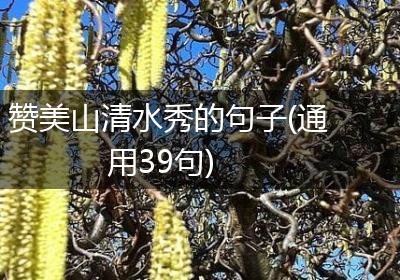 赞美山清水秀的句子(通用39句)