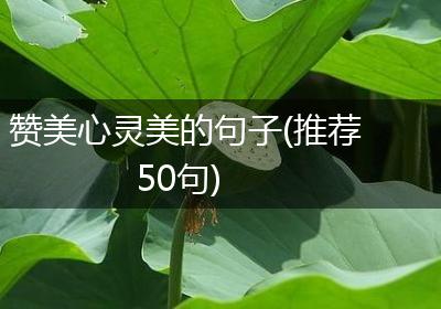 赞美心灵美的句子(推荐50句)