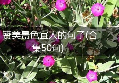 赞美景色宜人的句子(合集50句)