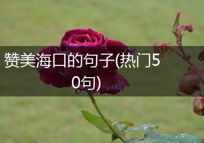 赞美海口的句子(热门50句)