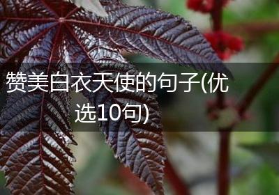 赞美白衣天使的句子(优选10句)