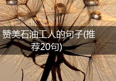 赞美石油工人的句子(推荐20句)