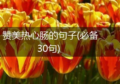 赞美热心肠的句子(必备30句)