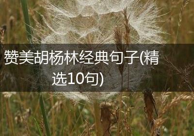 赞美胡杨林经典句子(精选10句)