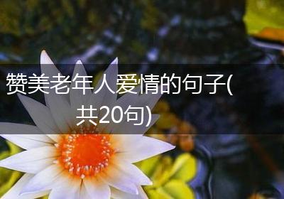 赞美老年人爱情的句子(共20句)
