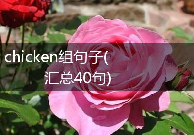 chicken组句子(汇总40句)