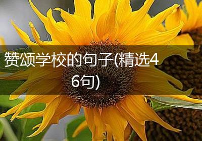 赞颂学校的句子(精选46句)
