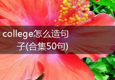 college怎么造句子(合集50句)