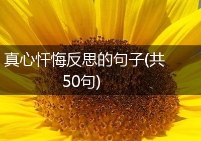 真心忏悔反思的句子(共50句)