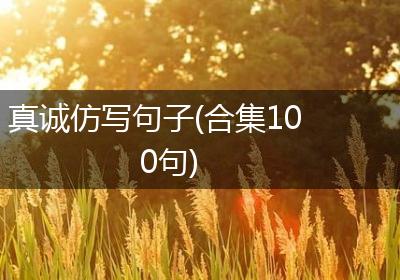真诚仿写句子(合集100句)
