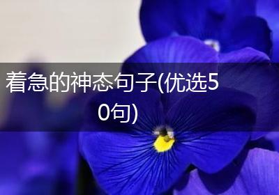 着急的神态句子(优选50句)