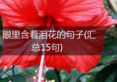 眼里含着泪花的句子(汇总15句)