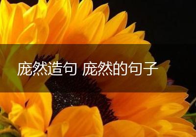庞然造句 庞然的句子