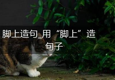 脚上造句_用“脚上”造句子