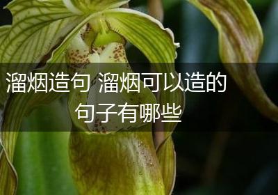 溜烟造句 溜烟可以造的句子有哪些