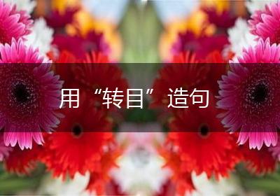 用“转目”造句