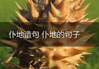 仆地造句 仆地的句子