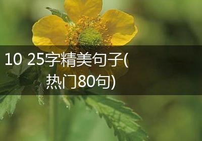 10 25字精美句子(热门80句)