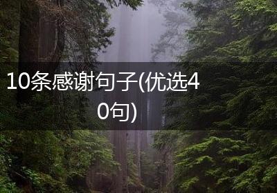 10条感谢句子(优选40句)