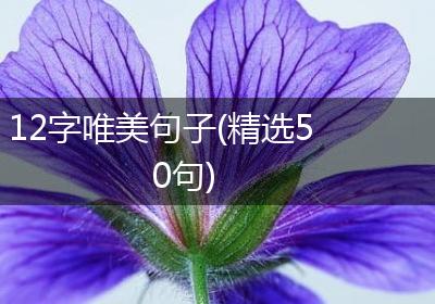 12字唯美句子(精选50句)