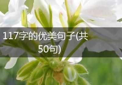 117字的优美句子(共50句)