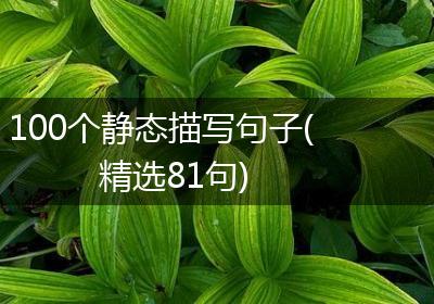 100个静态描写句子(精选81句)