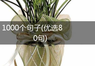 1000个句子(优选80句)