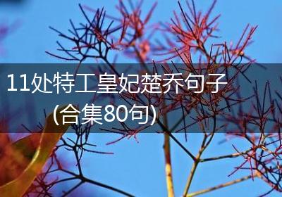 11处特工皇妃楚乔句子(合集80句)