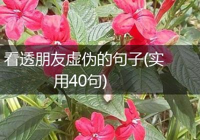看透朋友虚伪的句子(实用40句)