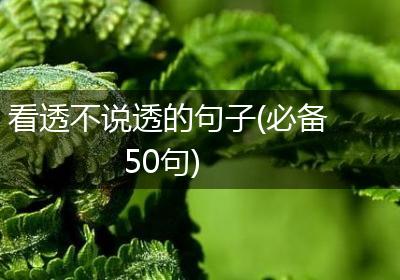 看透不说透的句子(必备50句)