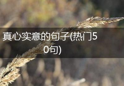 真心实意的句子(热门50句)
