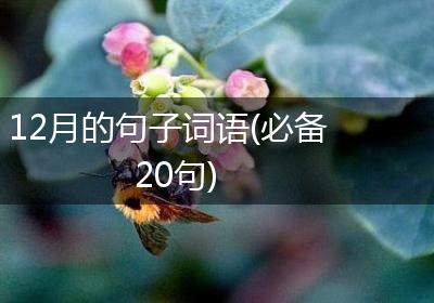 12月的句子词语(必备20句)