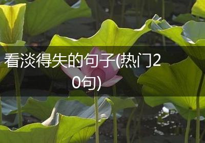 看淡得失的句子(热门20句)
