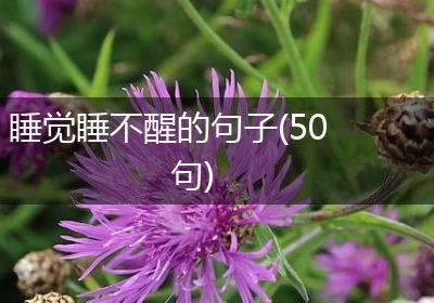 睡觉睡不醒的句子(50句)