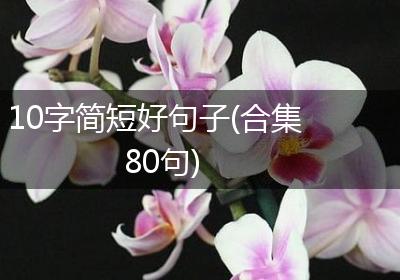 10字简短好句子(合集80句)
