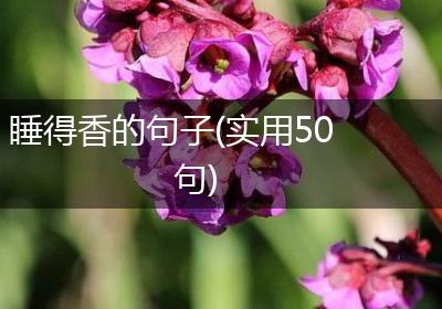 睡得香的句子(实用50句)