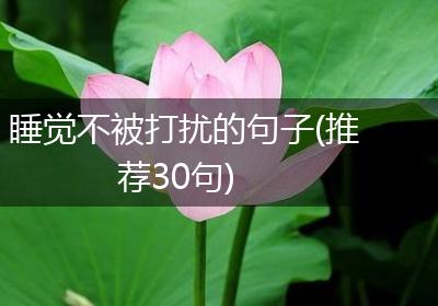 睡觉不被打扰的句子(推荐30句)